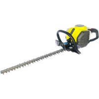 Ryobi RHT25X55R