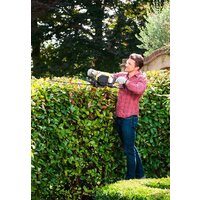 Ryobi RHT25X55R Image #6