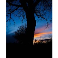 Fujifilm X-T50 Kit 16-50mm (черный) Image #26