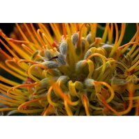 Fujifilm X-T50 Kit 16-50mm (черный) Image #27