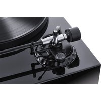 Magnat MTT 990 (без звукоснимателя) Image #3