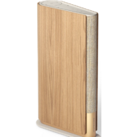 Bang & Olufsen Beosound Emerge (золотистый/светлый дуб) Image #10