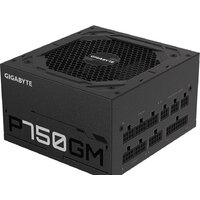 Gigabyte P750GM Image #2