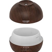 Concept ZV1006 Image #17