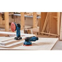 Bosch GEX 12V-125 Professional 0601372101 (без АКБ) Image #5