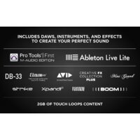 M-Audio Air 192|8 Image #6