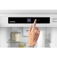 Liebherr IRe 5100 Pure Image #10