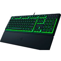 Razer Ornata V3 X (нет кириллицы) Image #5