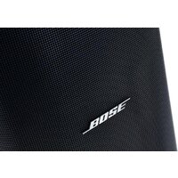 Bose DesignMax DM6SE (черный) Image #10