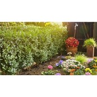 Gardena Шланг сочащийся 13 мм (1/2", 50 м) 13013-20 Image #2