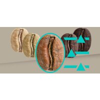 Siemens EQ900 TQ903RZ3 Image #11