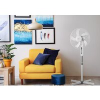 Ballu BFF-801 Image #6