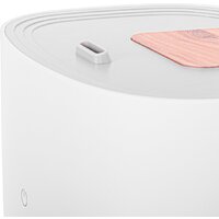 Adler AD 7972 (белый) Image #7