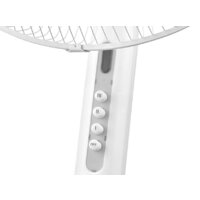 Ballu BFF-802 Image #2