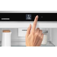 Liebherr ICSe 5103 Pure Image #16