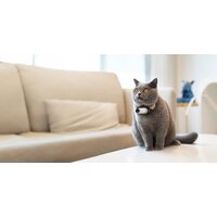 Insta360 GO3 64GB (арктический белый) Image #7