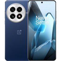 OnePlus 13 16GB/512GB международная версия (синий)