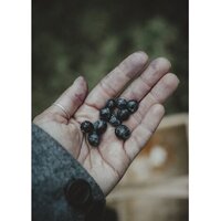 Olympus OM-5 Body (черный) Image #16