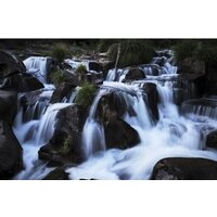 Olympus OM-5 Body (черный) Image #12