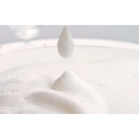 Philips CA6500/63 Milk Twister Image #6