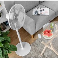 Sencor SFN 4070WH Image #12