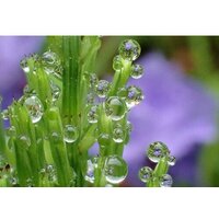 Olympus Tough TG-7 (черный) Image #11