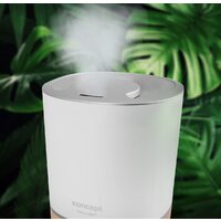 Concept ZV1200 (белый) Image #5