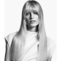 Dyson Airstrait (евровилка, никель/медный) Image #7