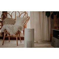 Haus & Luft HL-OP-11/WiFi Image #6