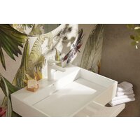 KFA Malaga 452281544 Image #5