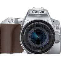 Canon EOS 250D Kit 18-55 IS STM (серебристый) Image #1