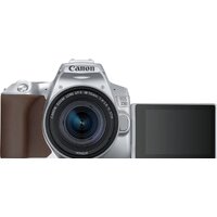 Canon EOS 250D Kit 18-55 IS STM (серебристый) Image #4