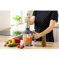 Sencor SHB 5600GG Image #20