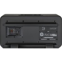 Bluesound Pulse Sub (черный) Image #4