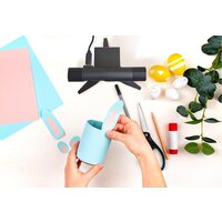 AverMedia Dualcam PW313D Image #6