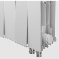 Royal Thermo PianoForte 500 VDR Silver Satin (6 секций) Image #3