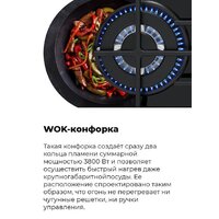 MAUNFELD EGHG.64.63CBG/G Image #32