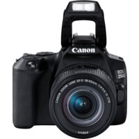 Canon EOS 250D Kit 18-55 IS STM (черный) Image #10