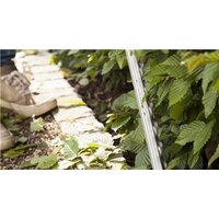 Gardena ComfortCut 600/55 Image #5