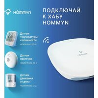 Hommyn WS-30-Z Image #11