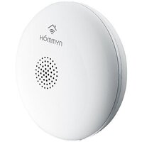 Hommyn WS-30-Z Image #2