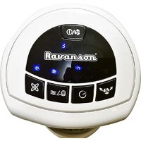 Ravanson AP-30 Image #3