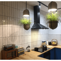 Globalo Bertez 60.1 (черный) Image #3