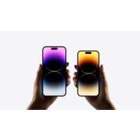 Apple iPhone 14 Pro Max 1TB (золотистый) Image #3