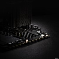 ADATA XPG Lancer Blade 2x16ГБ DDR5 6000 МГц AX5U6000C4816G-DTLABBK Image #6