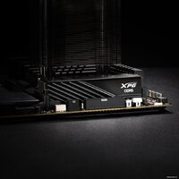 ADATA XPG Lancer Blade 2x16ГБ DDR5 6000 МГц AX5U6000C4816G-DTLABBK Image #4