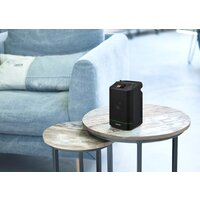 Sangean Revery R4 Image #9