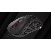 Genesis Xenon 800 Image #27