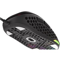 Genesis Xenon 800 Image #5