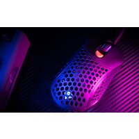 Genesis Xenon 800 Image #28